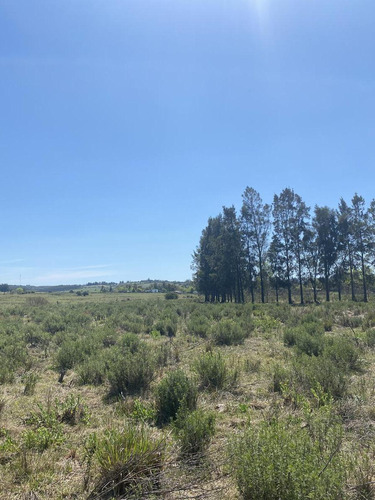 Imagen 9 de 17 de Chacra - Pueblo Edén