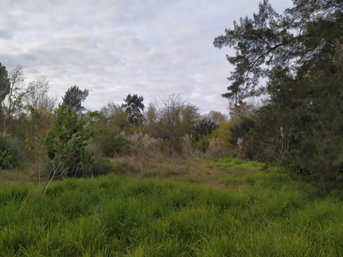 Terreno - Villa La Ñata