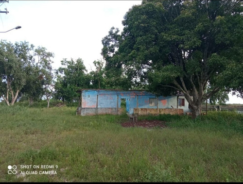 Imagen 9 de 11 de Se Vende Finca En Santa Barbara Ve02-615sb-az.