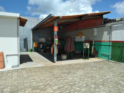 Imagem 8 de 14 de Galpão Em Porto Seguro Para Venda Ou Aluguel
