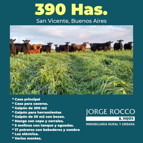Imagen 2 de 21 de 390 Has. Campo Ganadero A Tranquera Cerrada