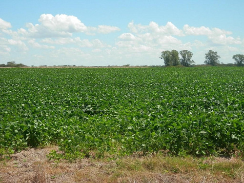 Estancia Isla Vizcaino 1569ha Ganadero Agricola Rio Negro Y Rio Uruguay