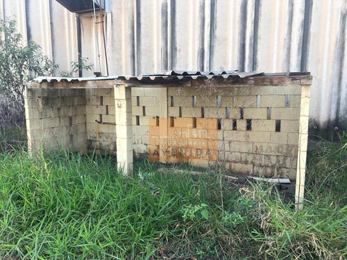 Imagem 5 de 24 de Área Para Alugar, 58600 M² Por R$ 170.000,00/mês - Betel - Paulínia/sp - Ar0036