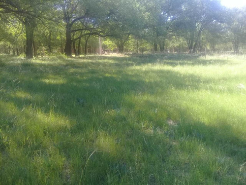 Imagen 2 de 10 de Los Reartes Vendo 2 Terrenos Juntos De 1100m2 Cada Uno