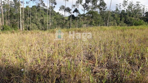 Terreno A Venda No Centro Em Guabiruba/sc - 954