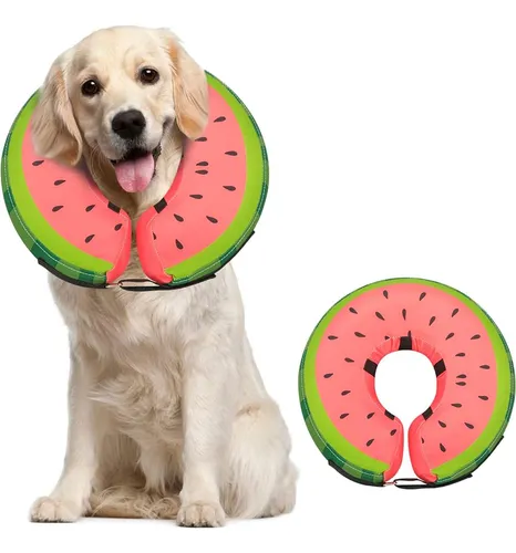 Collar De Cono De Perro Para Perros Pequeños Medianos Grande