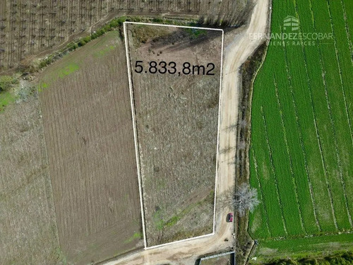 Rinconada- Vende Terreno De 5.833m2- San Guillermo