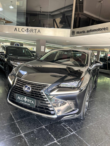 Lexus 300 Nx Hybrid 2019