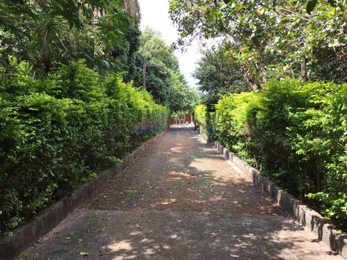 Chácara À Venda Em Barão Geraldo - Ch287200