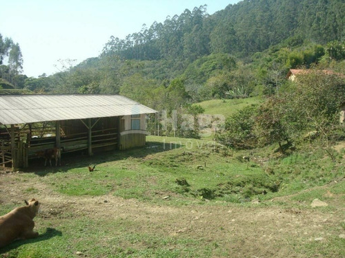 Imagem 28 de 30 de Sítio À Venda No Bairro Ourinho - Botuverá/sc - 1993