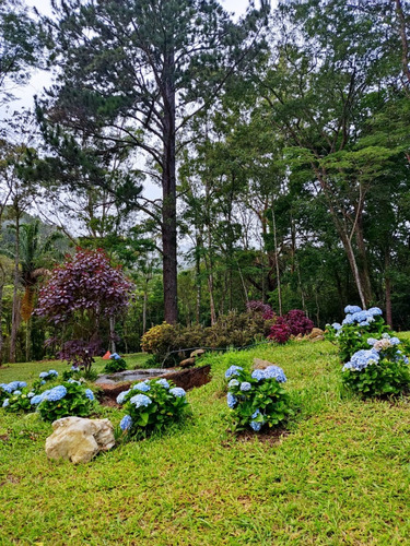 Sítio Em Macaé De Cima, Nova Friburgo, Rj.