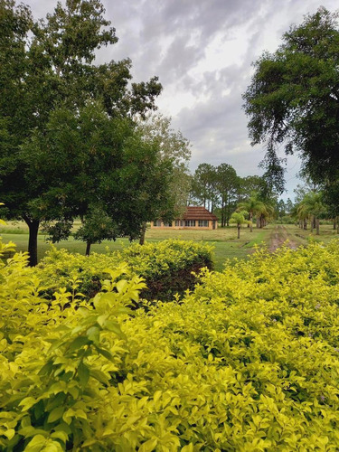 Imagen 21 de 21 de Se Vende Exclusivo Complejo Turístico En San Javier