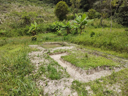 Imagem 19 de 25 de Juquitiba/sitio Com Lago/bom Para Plantar Ou Criar