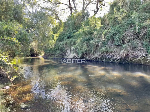 Cod35266 Vende Agrícola Campo De 36 Ha. Indigena En Lautaro