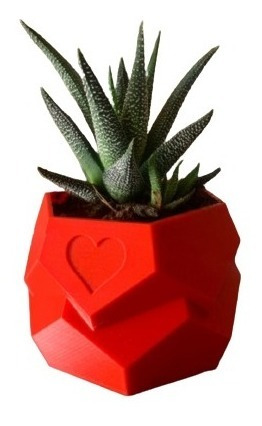 Materos Porrones Decorativo Modernos Para Suculentas Cactus