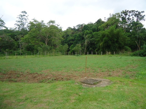 Imagem 10 de 14 de Belo Sitio Com Lagos Excelente Topografia Ref 1313