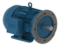 Comprar Motor Trifá W22 Ir3 Premium 1cv 4p 80 220\u002F380v 60hz B34d Weg