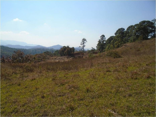 Terreno En Venta En Temascaltepec.
