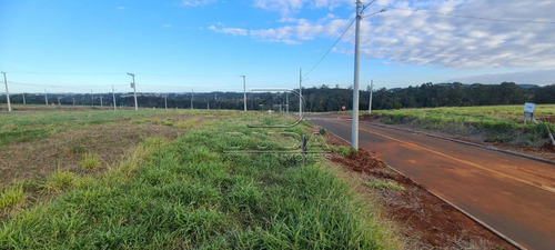 Imagem 8 de 15 de Terreno - Cristo Rei - Ref: 34055 - V-34052
