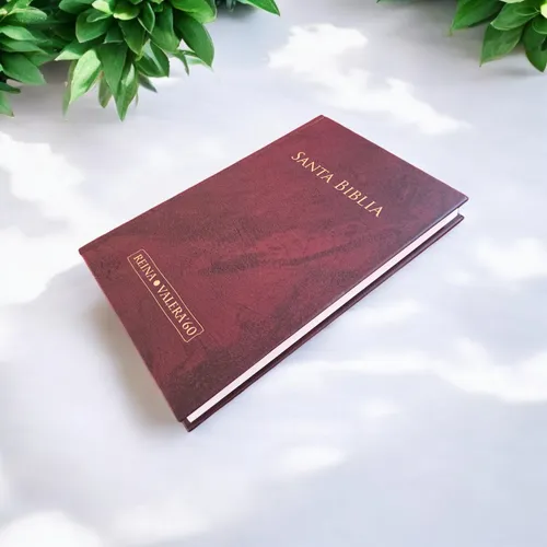 Biblia Por Caja 24 Unidades