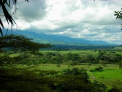 Se Vende Finca Puerto Carreño Vichada Colombia 