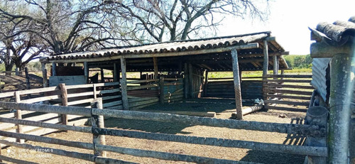 Imagen 2 de 12 de Campo Ganadero En Manuel Belgrano Formosa 944 Hectareas