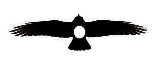 Cuervo Anillo A Pedido Obsidiana                        17mm