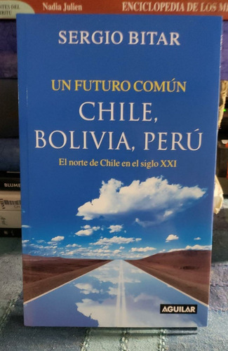 Un Futuro Común Chile, Bolivia, Perú - Sergio Bitar