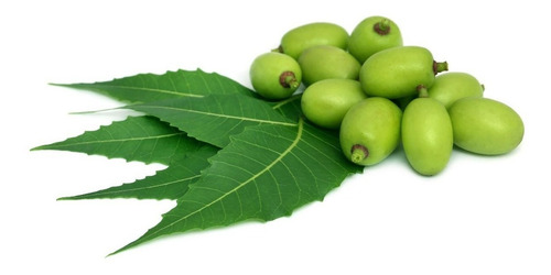 Hojas De Neem 200 Gr
