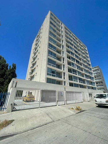 Ideal Para Estudiantes 1d 1b 1e Concepción (98038)