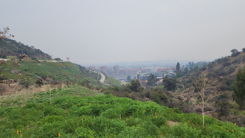 Venta Terreno 6000 M2 En Lo Curro Vitacura