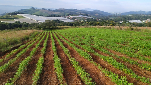Chácara Itapeva Minas Gerais