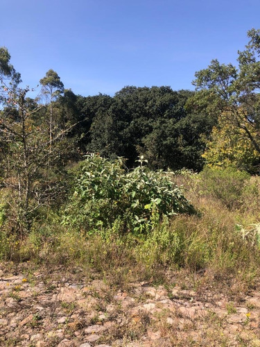 Imagen 12 de 12 de Venta De Terrenos En Amealco De Bonfil, Querétaro