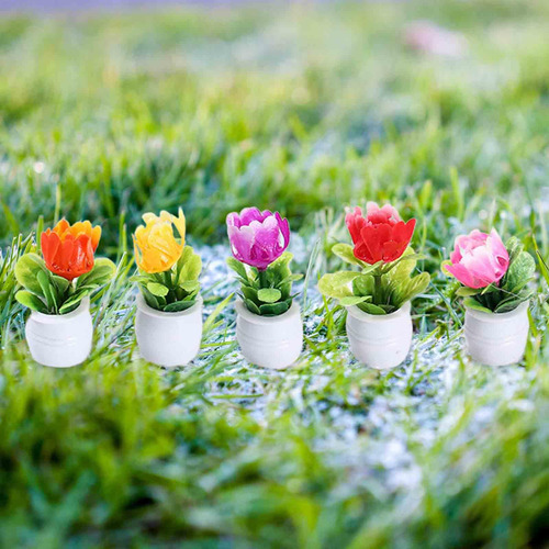 5x Mini Maceta Casa De Muñecas Planta Bonsái En Miniatura