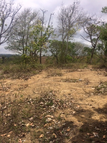 Imagem 3 de 18 de Ótimo Sítio 14 Hec, Não Tem Benfeitoria, Estrada De Aldeia Km 33 Em Paudalho Aceito Carro - St00007