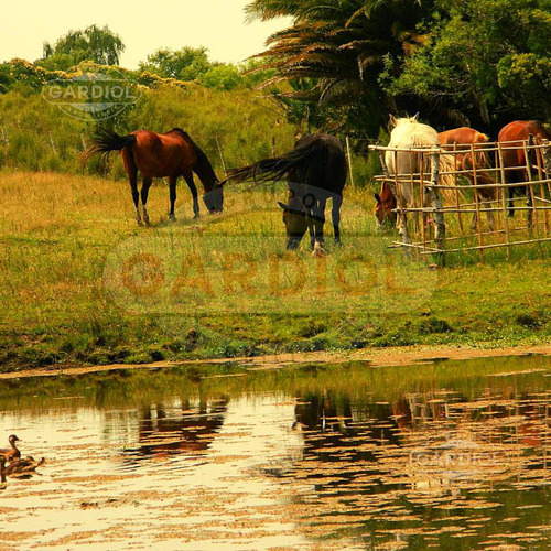 Venta De Chacra En Ruta 1, Riachuelo, Colonia Del Sacramento
