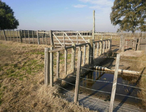 Muy Buen Campo En Florida