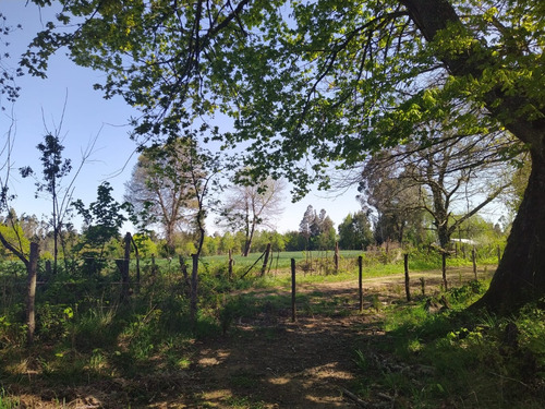 Hermosa Parcela En Venta En Gorbea
