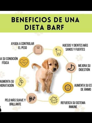 Imagen 8 de 8 de Alimento Barf Natural Para Mascotas 978548738 Santa Anita