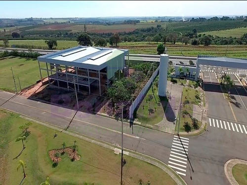 Imagem 15 de 28 de Terreno Industrial, W Park Condomínio Industrial, Mongi Mirim - Te08616 - 34837415