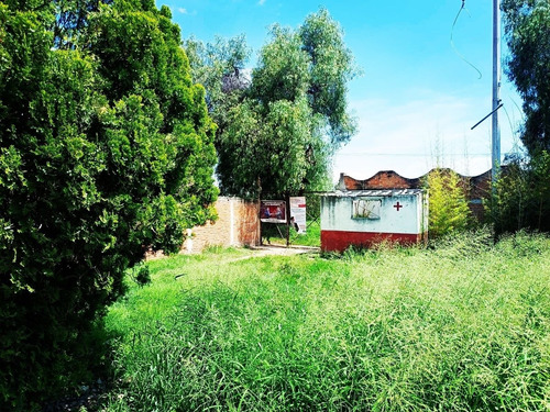 Terreno Bodega En Renta/venta San Jose De Los Mendoza Gto