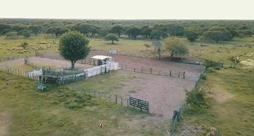 Imagen 7 de 15 de Campo Ganadero