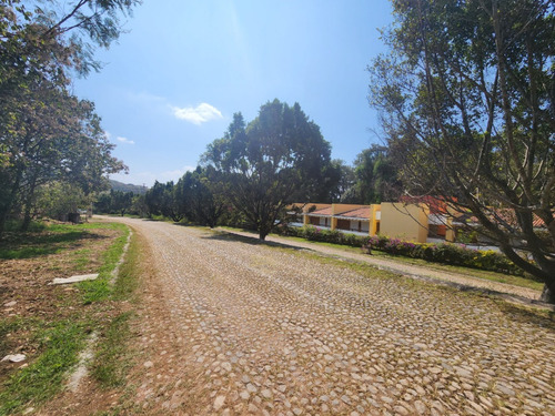 Venta Lote San Diego 9 Justo A La Entrada Del Fracc Con Vista A Las Amenidades Y Frente Al Hotel Con Proyecto Inlcluído En Fracc Rancho San Diego Ixtapan De La Sal Edomex