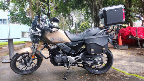 Hero Xpulse 200t Color Dorado, Papeles Al Día