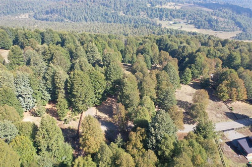 Terreno 5.000 M2 Condominio La Helvetia, Malalcahuello