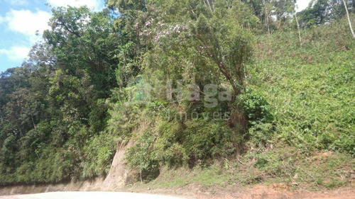 Imagem 9 de 14 de Chácara À Venda No Bairro Pomerânia - Guabiruba/sc - 2329c