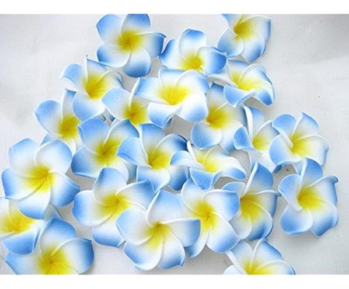 Ewandastore 100 Pcs Diámetro 2.8 Pulgadas Plumeria Artificia