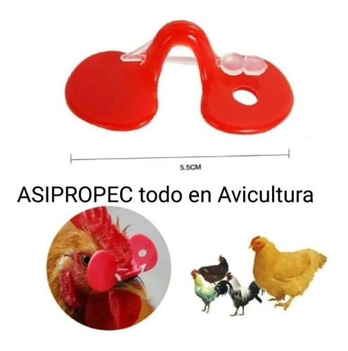 50pz Lentes Gallina Perno Antipicaje Evita Canibalismo Pollo