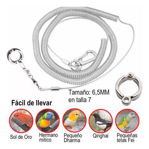 . 6 M Flexible Mascota Loro Pájaro Correa Arnés