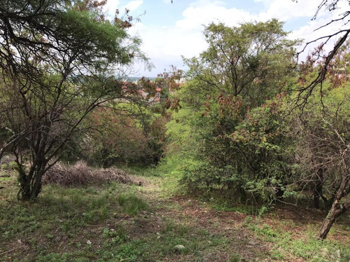 Imagen 10 de 12 de Terreno En Venta Cinco Lomas
